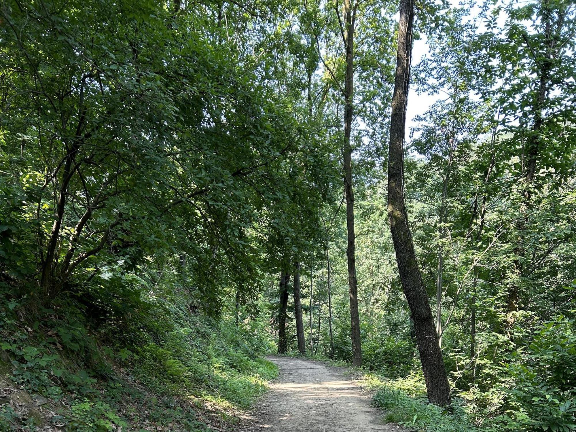 Il Giardino Di Berbech Citta Alta - Castagno Lägenhet Bergamo Exteriör bild